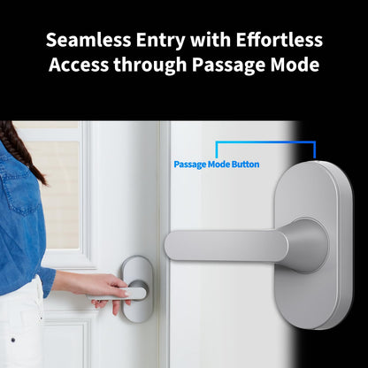 Aqara U300 Smart Lock Fingerprint Lever Keyless Entry Matter Apple Home Key Alexa Google Silver